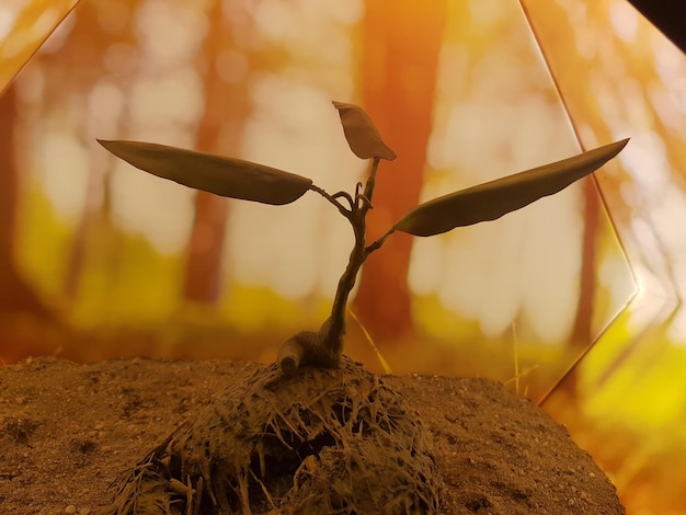 A conceptual image of a seed sprouting in fertile ground, symbolizing new job creation and economic growth. The image should be optimistic and forward-looking, with a warm color palette.