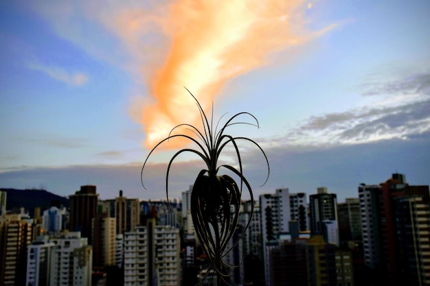 Taxa de Juros 10,75%: Impacto no PIB Brasileiro em 2025
