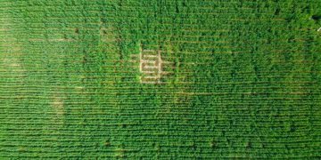 Guerra na Ucrânia: Impacto nos Fertilizantes e na Produção Agrícola Brasileira em 2025 - Cover Image