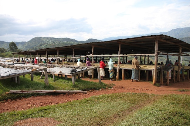 A scenic view of a community-based craft workshop in a rural area of Brazil, showing artisans engaged in various stages of production, surrounded by natural materials and tools, depicting a sustainable and community-driven approach to crafts.