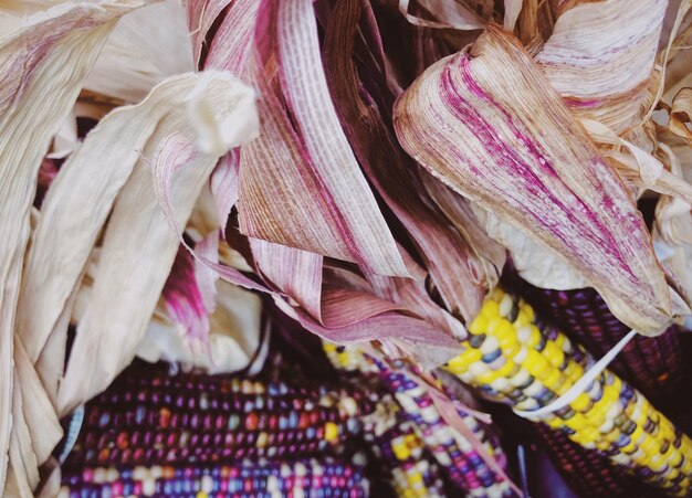 A close-up shot of handcrafted Brazilian textiles using natural dyes derived from local plants, showcasing the intricate patterns and sustainable production techniques.
